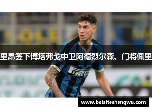 里昂签下博塔弗戈中卫阿德烈尔森、门将佩里 